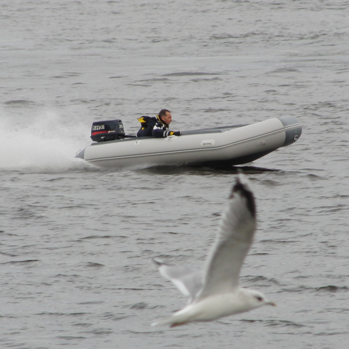 Badger Classic Line 340 Badger Classic Line 340